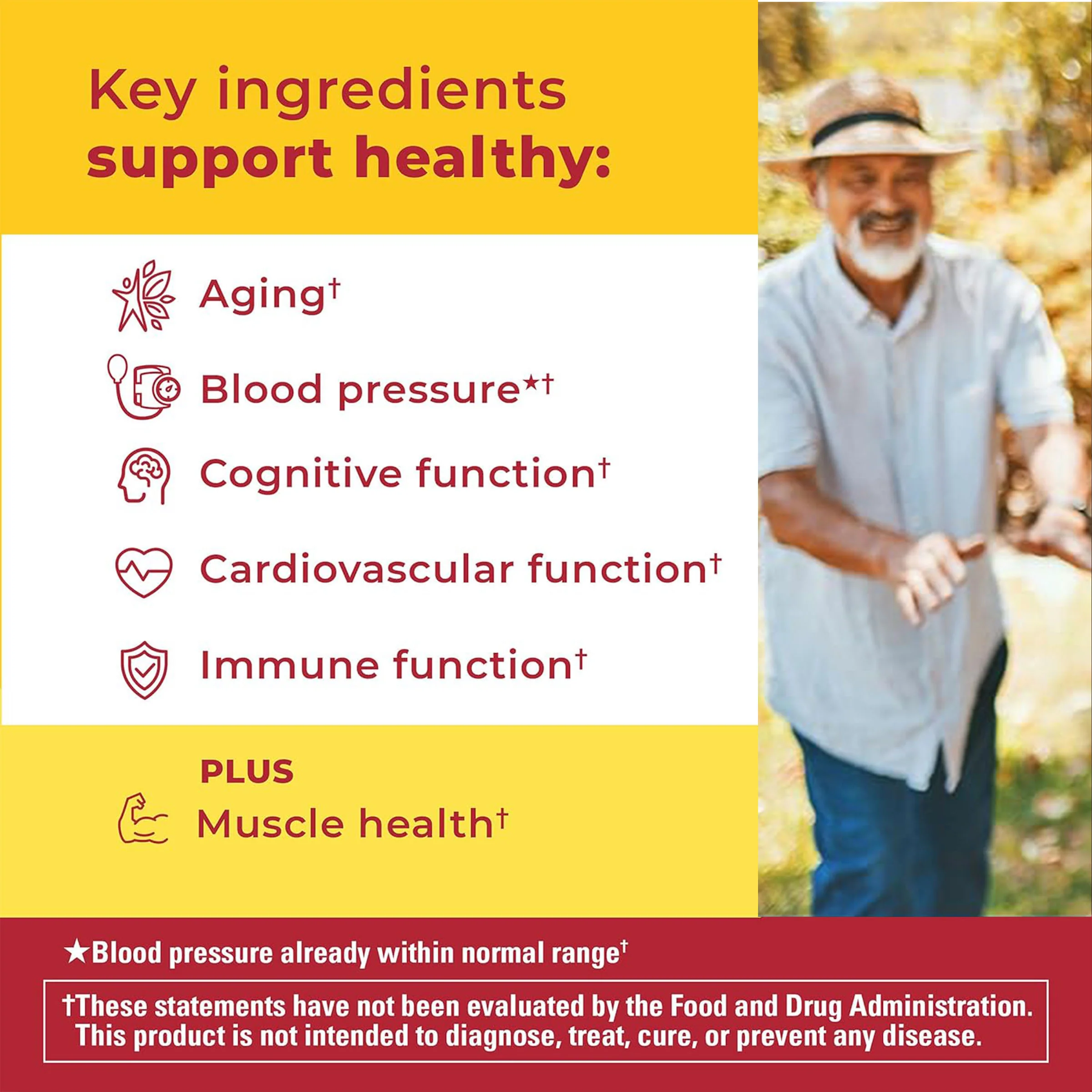 Advanced Multivitamin 50+ For Him Gummies - Image 5