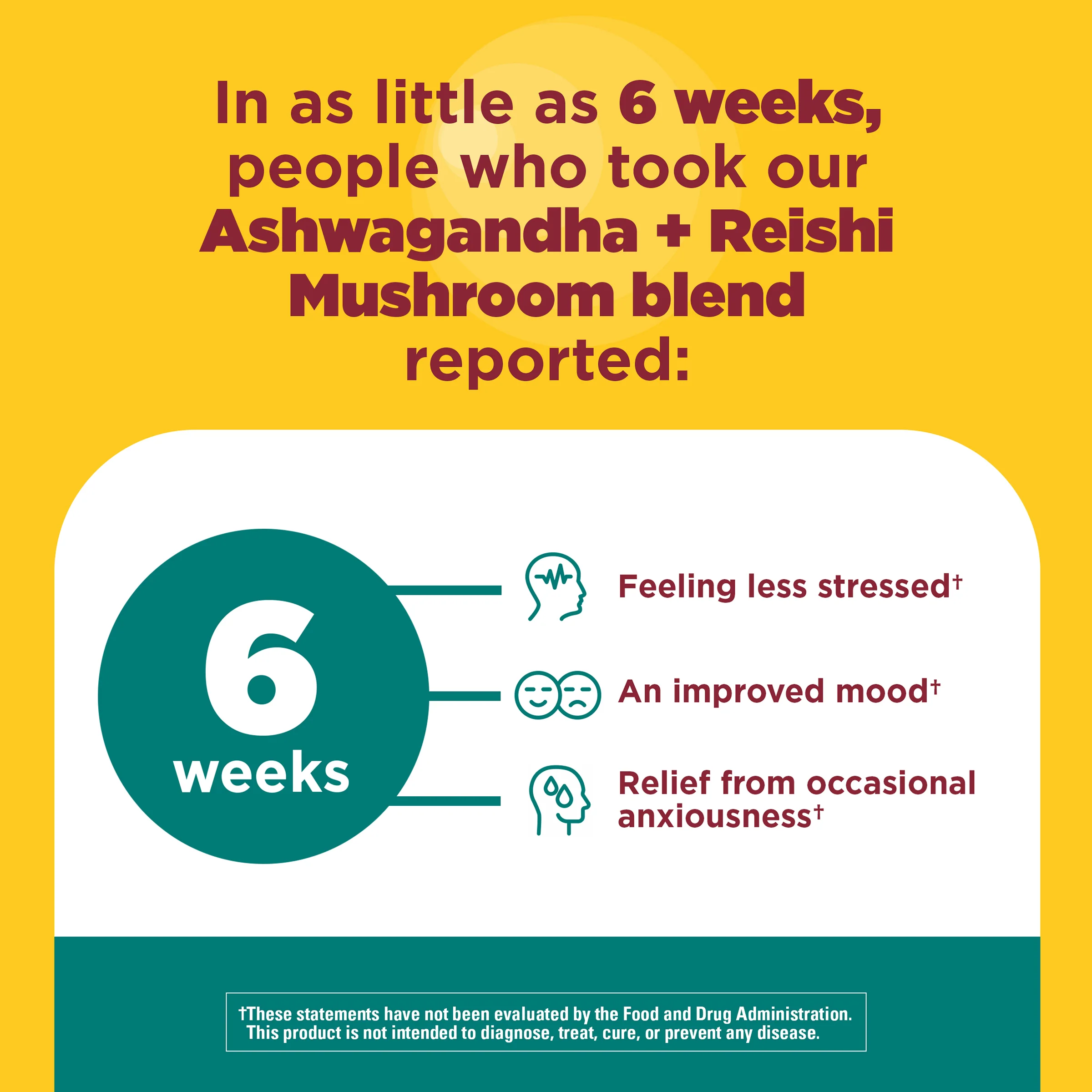 Ashwagandha + Reishi Mushroom Capsules - Image 6