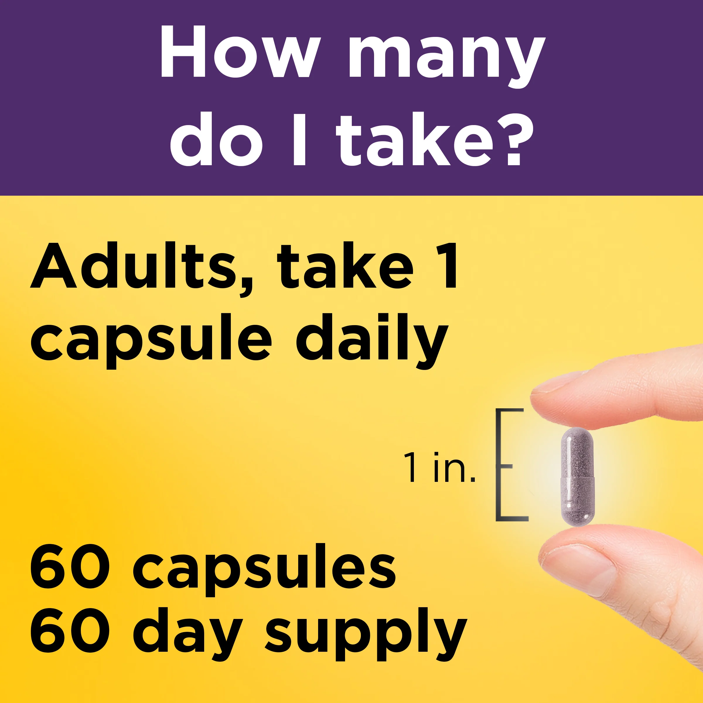 Elderberry Capsules with Vitamin C and Zinc - Image 3
