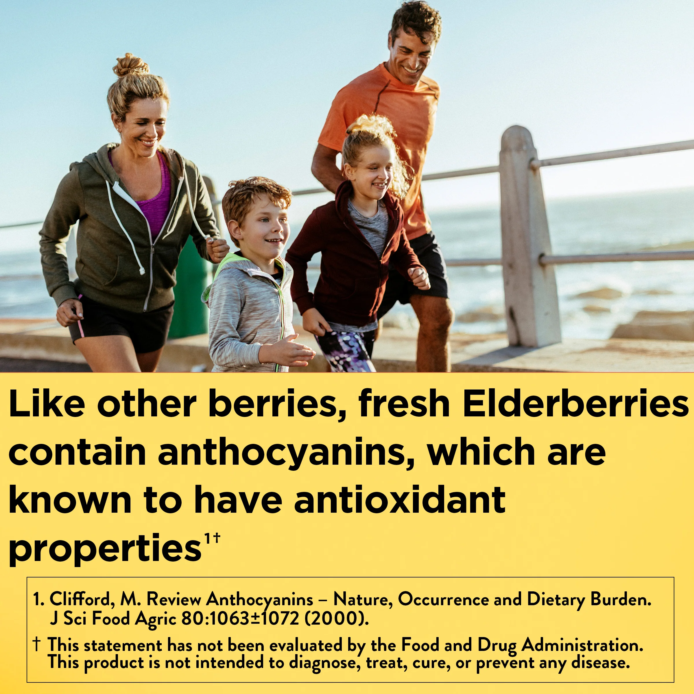 Elderberry Capsules with Vitamin C and Zinc - Image 4