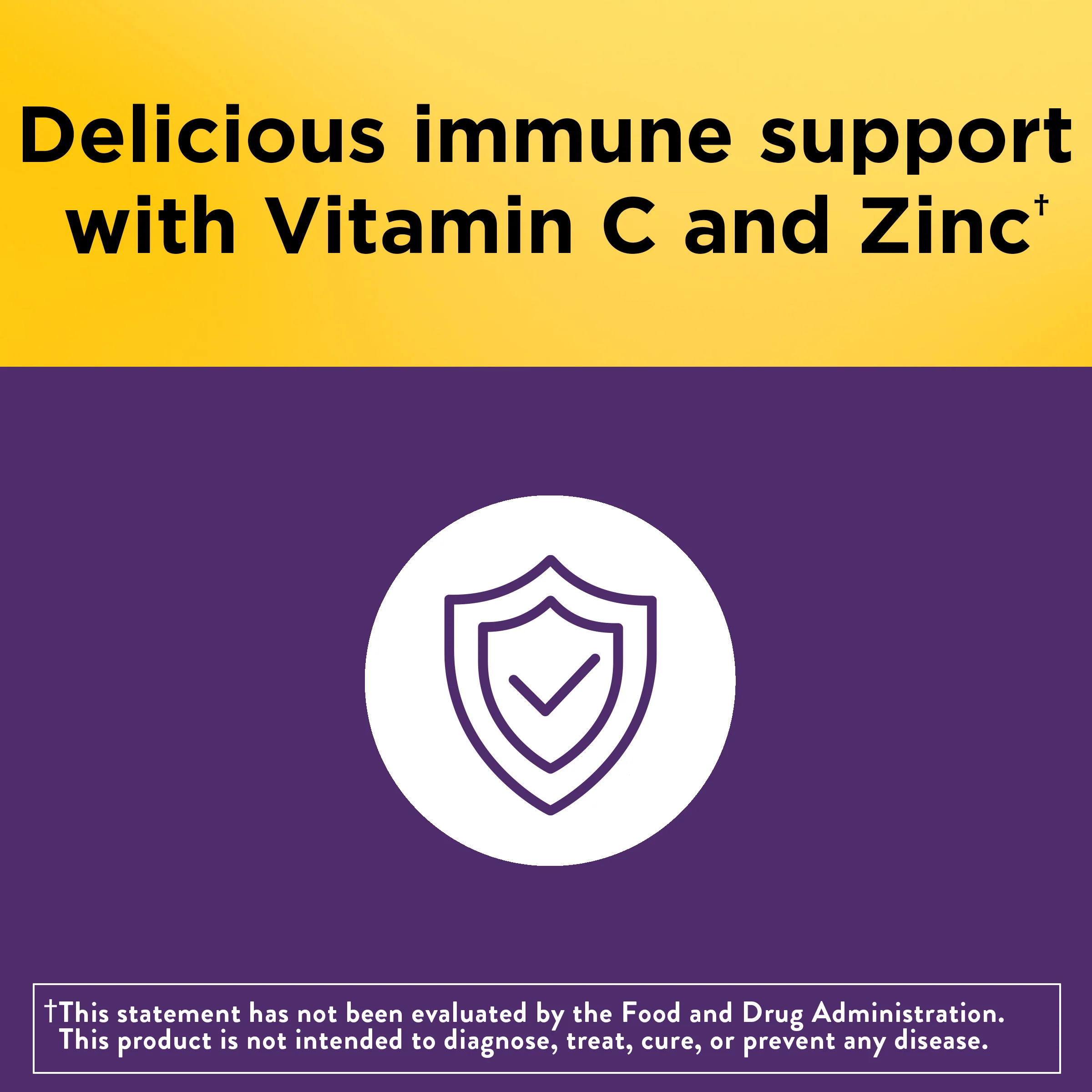 Elderberry Capsules with Vitamin C and Zinc - Image 5