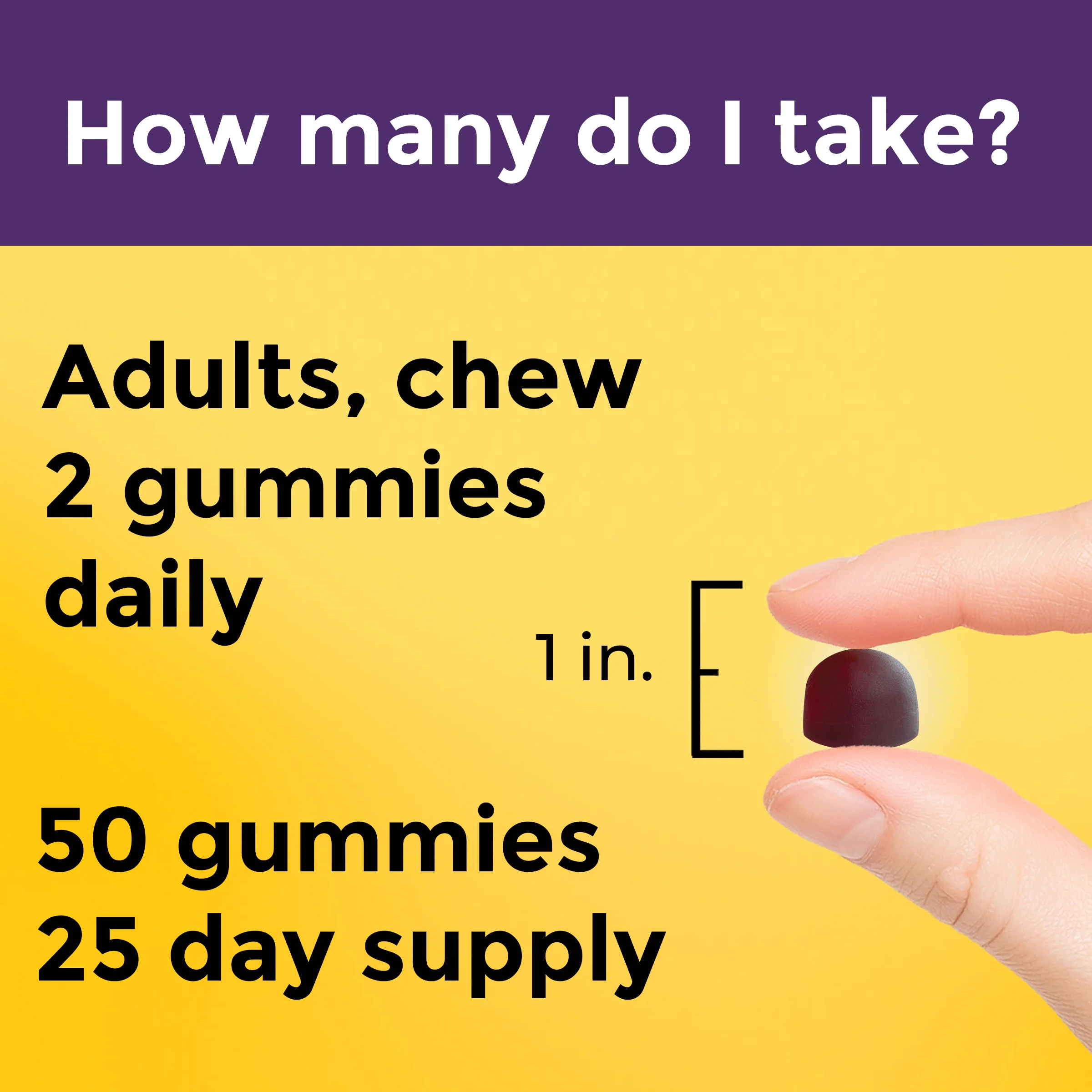 Probiotic + Prebiotic Fiber Gummies - Image 3