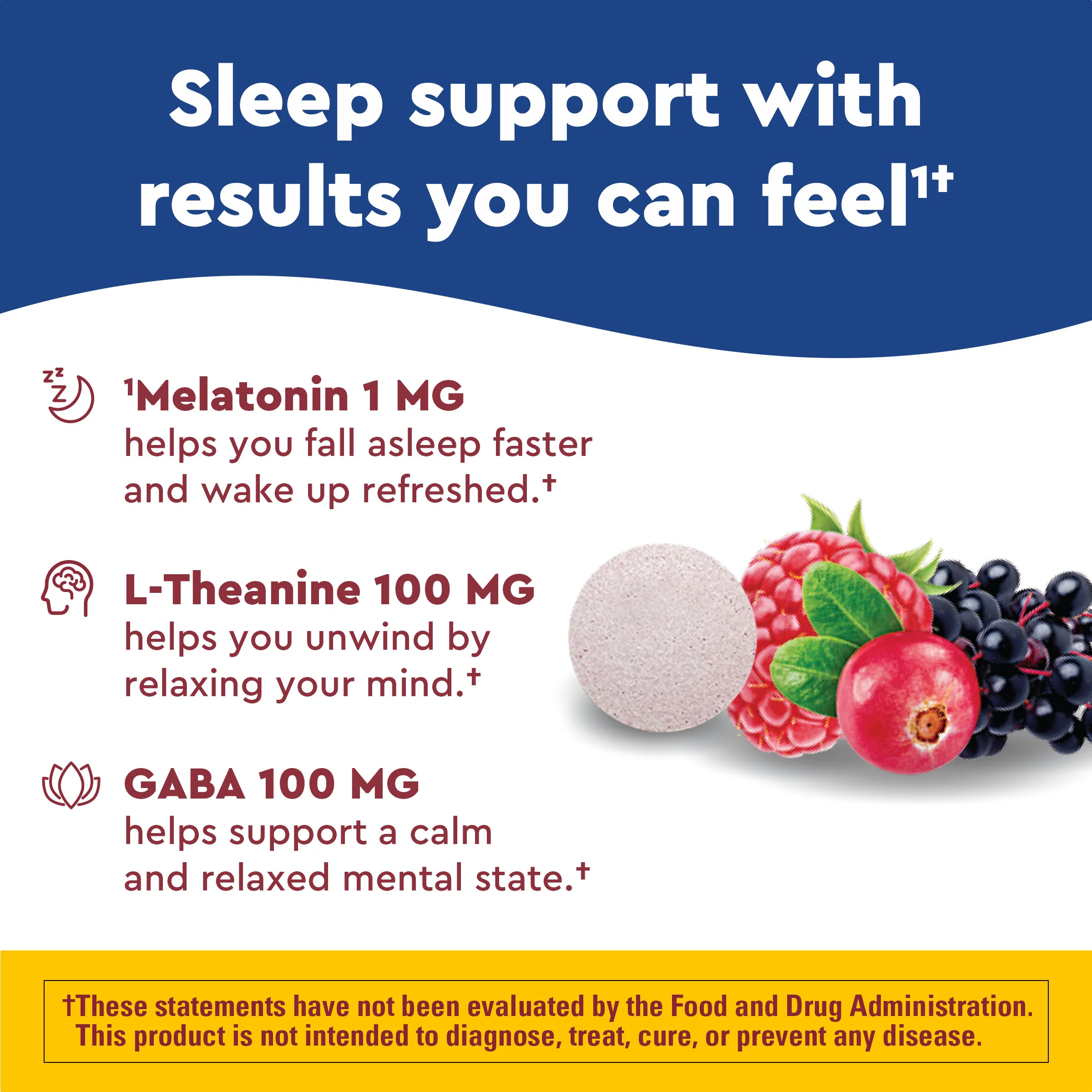 Wellblends™ Back to Sleep™ Fast Dissolve Tablets - Image 5